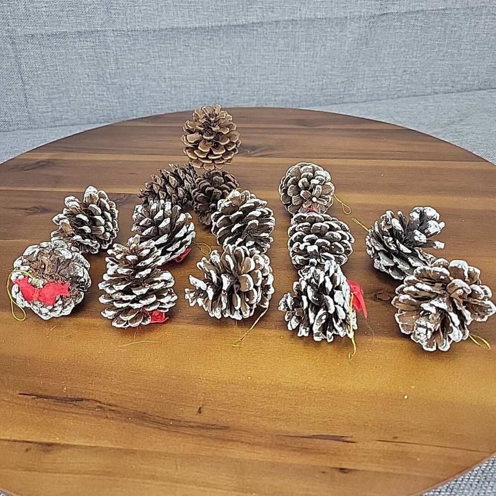 Vintage Pinecone Christmas Ornament Set‎ 13pc Snow Tipped Red Bow Rustic Holiday